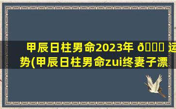 甲辰日柱男命2023年 💐 运势(甲辰日柱男命zui
终妻子漂亮吗 ☘ )
